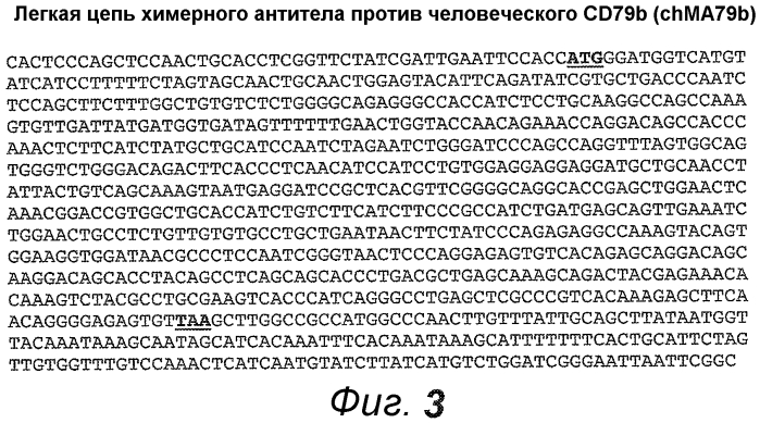 Анти-cd79b антитела и иммуноконъюгаты и способы их применения (патент 2553566)