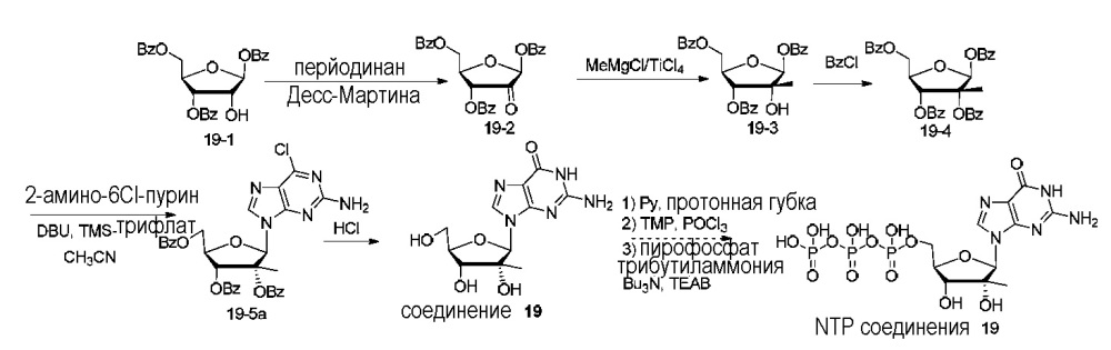 Модифицированные нуклеозиды, нуклеотиды и нуклеиновые кислоты и их применение (патент 2648950)