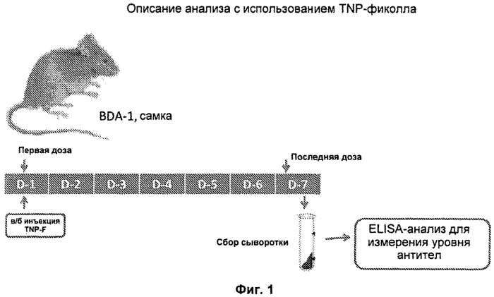 Некоторые химические структуры, композиции и способы (патент 2513636)