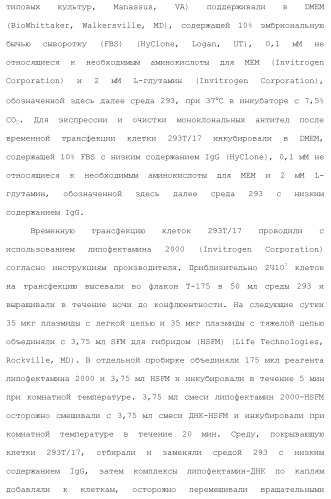 Белки, связывающие il-12/p40 (патент 2461571)