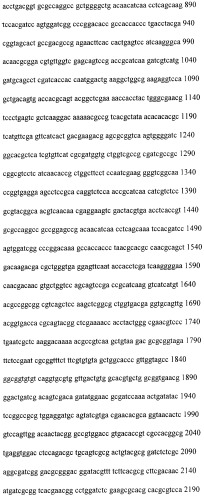 Способ получения наноструктурированного материала на основе рекомбинантных жгутиков архей (патент 2522833)