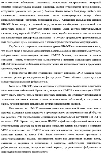 Белки, связывающие антиген фактор роста, подобный гепаринсвязывающему эпидермальному фактору роста (патент 2504551)