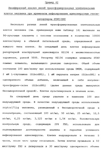 Новый лиганд рецептора цитокина zcytor17 (патент 2360923)