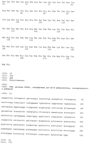 Мутеины липокалина 2 человека (lcn2, hngal) с аффинностью для определенной мишени (патент 2564125)