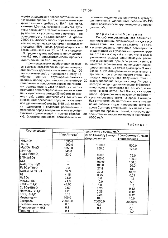 Способ микроклонального размножения лиственницы (патент 1571064)