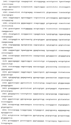 Связывающие молекулы, обладающие терапевтической активностью (патент 2386639)