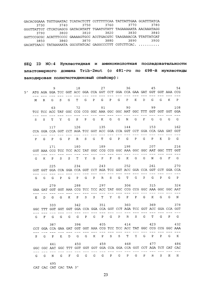 Способ получения рекомбинантного эластомерного домена trib-2mut, генно-инженерная конструкция pgdtrib2mut, определяющая биосинтез trib-2mut в клетках e.coli, штамм-продуцент e.coli m15/pgdtrib2mut и способ получения полимерного материала на основе данного белка (патент 2631004)