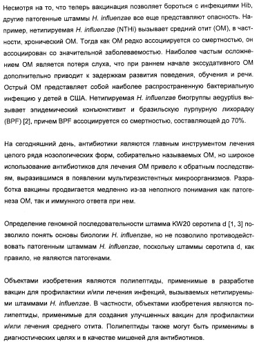 Полипептиды нетипируемой haemophilus influenzae (патент 2432357)