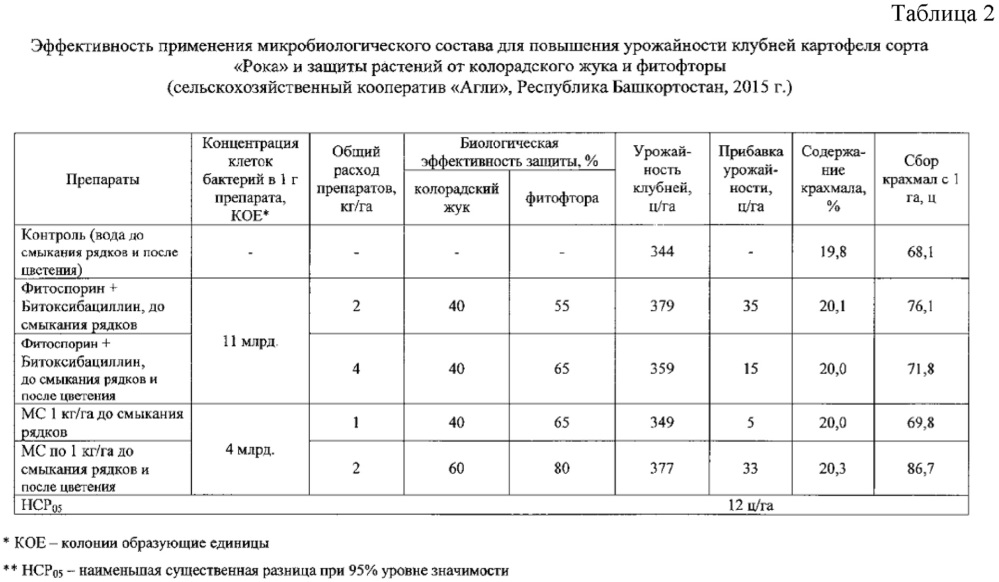 Микробиологический состав для увеличения урожайности сельскохозяйственных культур и их защиты от вредителей и болезней (патент 2654569)