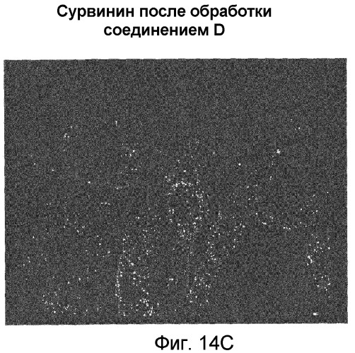 Миметики с обратной конфигурацией и относящиеся к ним способы (патент 2434017)