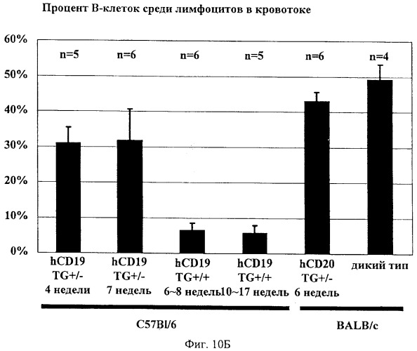 Гуманизированные антитела к cd19 и их применение для лечения онкологического, связанного с трансплантацией и аутоиммунного заболевания (патент 2495882)