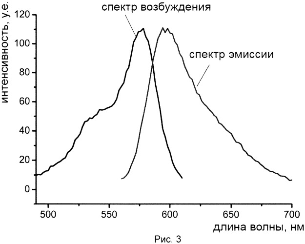 Красный флуоресцентный биосенсор для детекции пероксида водорода в живых клетках (патент 2535336)