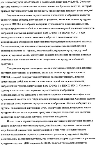 Вариант кукурузы mir604 (патент 2351122)