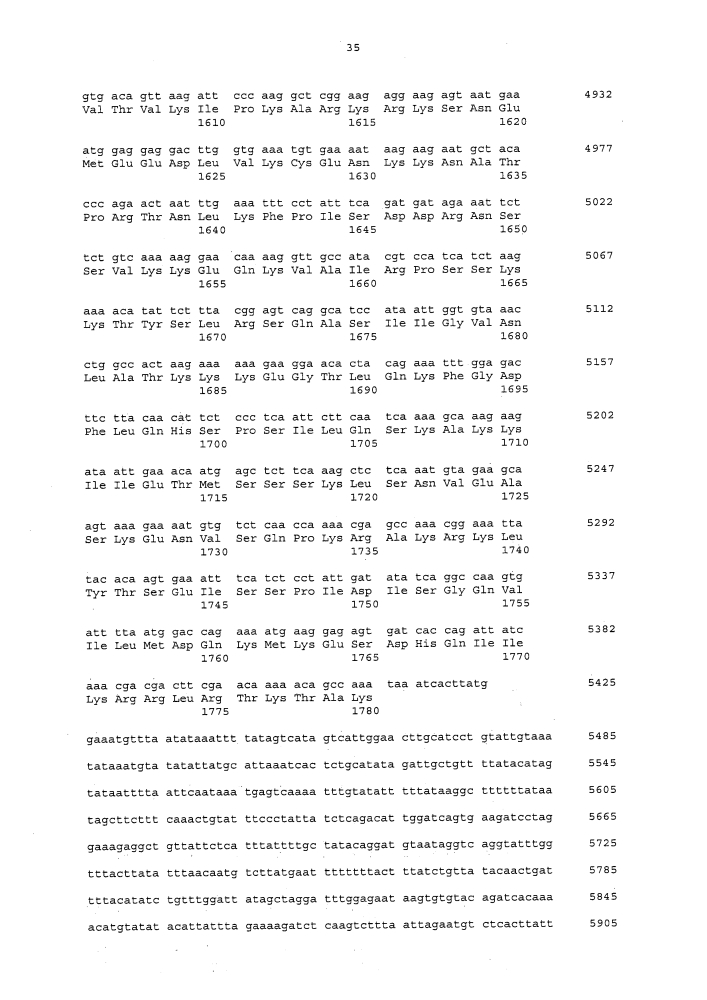 Пептиды mphosph1 и вакцины, включающие их (патент 2612905)