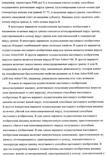 Способы и композиции для экспрессии антисмысловой вирусной рнк в клетках собаки (патент 2457250)
