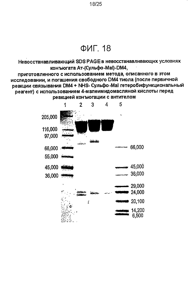 Способы конъюгации (патент 2595424)