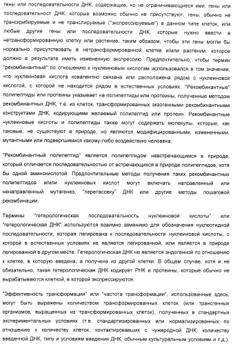 Улучшенная трансформация сои (патент 2389797)
