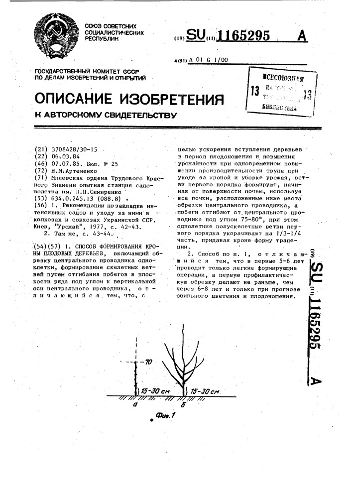 Способ формирования кроны плодовых деревьев (патент 1165295)