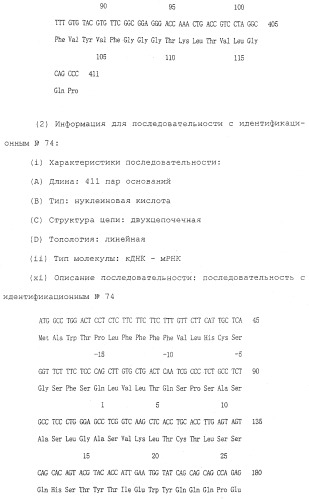 Антитела против белка, родственного паращитовидному гормону человека (патент 2322453)