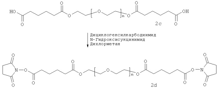 Стерилизация биоразлагаемых гидрогелей (патент 2558847)