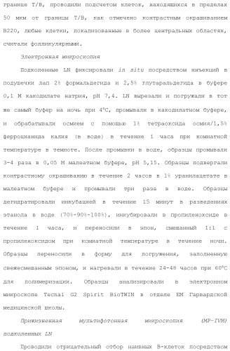 Включение адъюванта в иммунонанотерапевтические средства (патент 2496517)