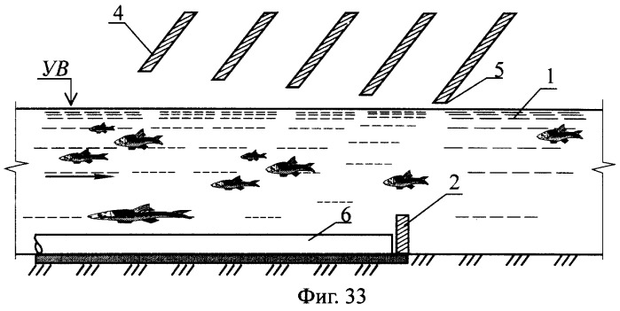 Рыбоход (варианты) (патент 2249653)