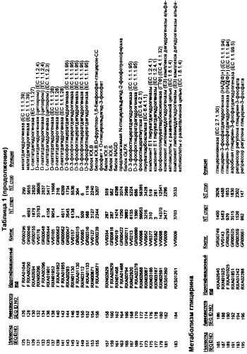 Гены corynebacterium glutamicum, кодирующие белки, участвующие в метаболизме углерода и продуцировании энергии (патент 2310686)