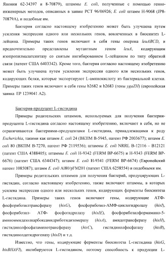 Способ получения l-треонина с использованием бактерии, принадлежащей к роду escherichia, в которой инактивирован ген yncd (патент 2396337)