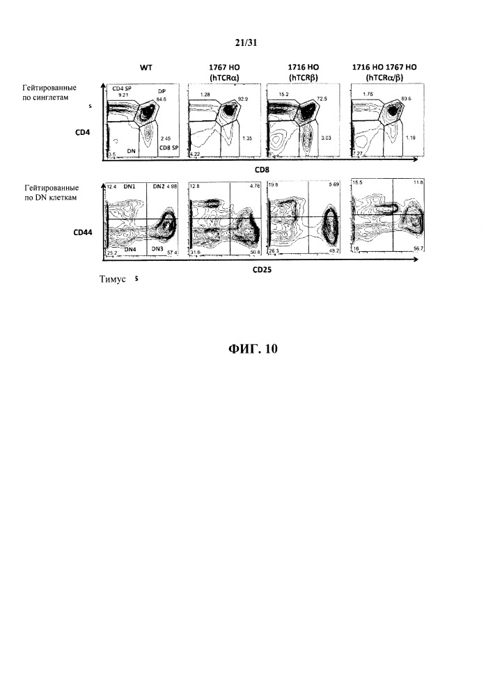 Генетически модифицированные в отношении т-клеточного рецептора мыши (патент 2661106)