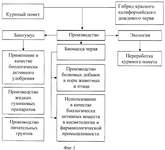 Способ получения биогумуса посредством переработки куриного помета гибридом красного калифорнийского дождевого червя (патент 2422414)