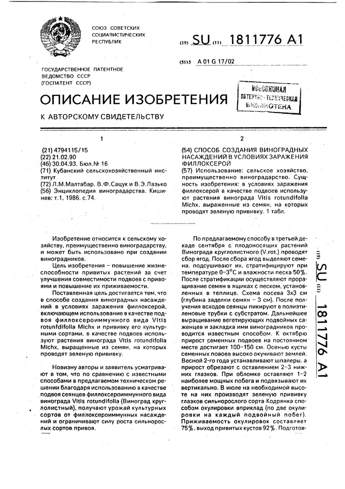 Способ создания виноградных насаждений в условиях заражения филлоксерой (патент 1811776)