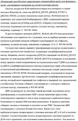 Способ избирательного получения растений с мужской или женской стерильностью (патент 2320722)