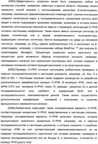 Генетически кодируемые флюоресцентные кумариновые аминокислоты (патент 2473690)