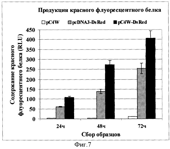 Экспрессионный вектор для синтеза белков в клетках млекопитающих (патент 2364627)