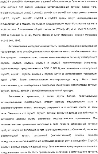 Выделенный полипептид, обладающий антивирусной активностью (варианты), кодирующий его полинуклеотид (варианты), экспрессирующий вектор, рекомбинантная клетка-хозяин, способ получения полипептида, антитело, специфичное к полипептиду, и фармацевтическая композиция, содержащая полипептид (патент 2321594)