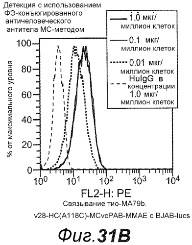 Анти-cd79b антитела и иммуноконъюгаты и способы их применения (патент 2553566)