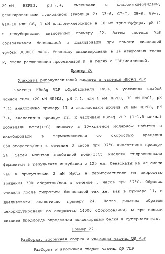 Композиции, содержащие cpg-олигонуклеотиды и вирусоподобные частицы, для применения в качестве адъювантов (патент 2322257)