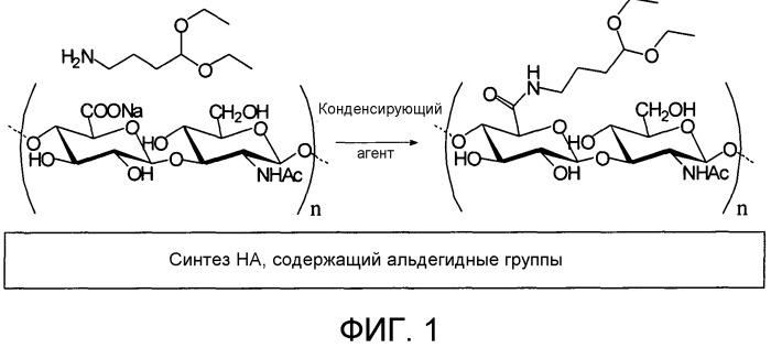 Способ синтеза конъюгатов гликозаминогликанов (gag) с биологически активными молекулами, полимерные конъюгаты и их соответствующие применения (патент 2530649)