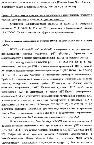 Способ производства 4-гидрокси-l-изолейцина или его соли (патент 2355767)