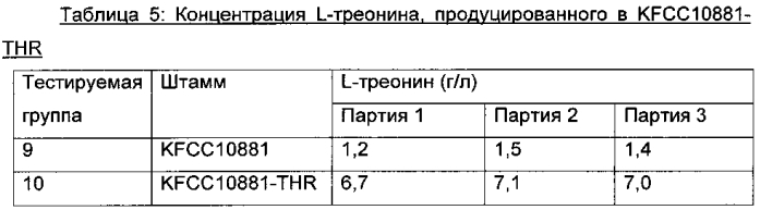 Микроорганизм для продуцирования одновременно l-аминокислоты и рибофлавина и способ производства l-аминокислоты и рибофлавина с его применением (патент 2588657)