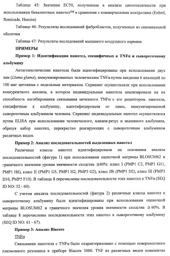 Улучшенные нанотела против фактора некроза опухоли-альфа (патент 2464276)