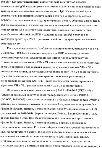 Химерные и гуманизированные антитела к cd44, которые опосредствуют цитотоксичность в отношении раковых клеток (патент 2487723)