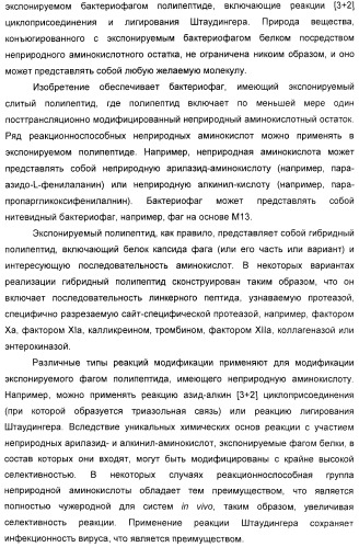 Селективная посттрансляционная модификация экспонируемых фагами полипептидов (патент 2459866)