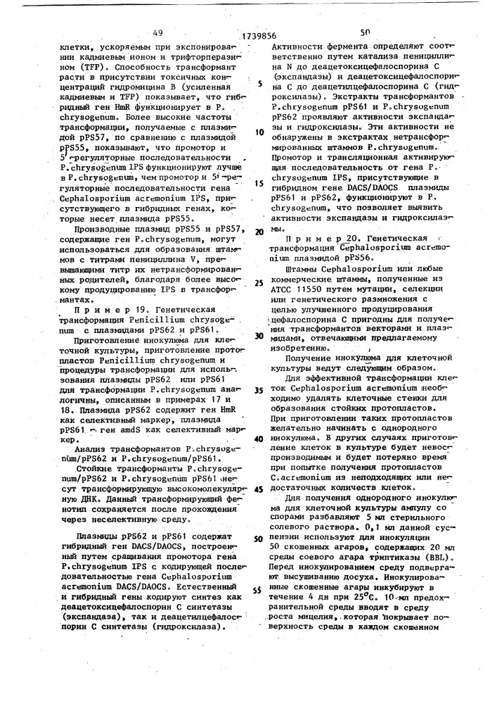 Способ конструирования рекомбинантной плазмидной днк, кодирующей фермент деацетоксицефалоспорин с синтетазу/деацетилцефалоспорин с синтетазу (патент 1739856)