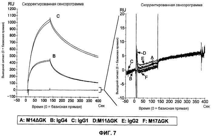 Модифицированная константная область антитела (патент 2526512)