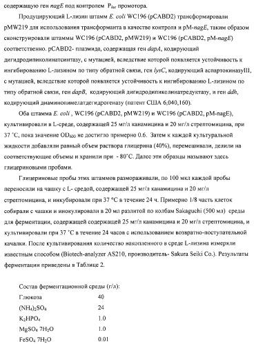 Способ получения l-аминокислот с использованием бактерии, принадлежащей к роду escherichia (патент 2312893)