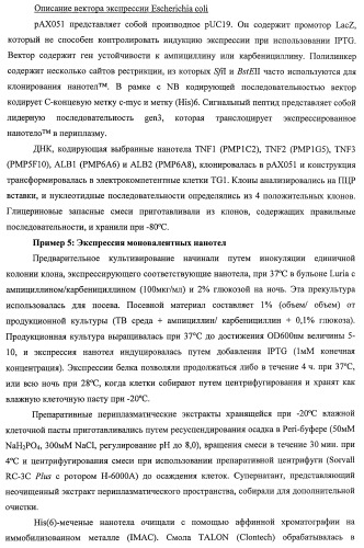 Улучшенные нанотела против фактора некроза опухоли-альфа (патент 2464276)