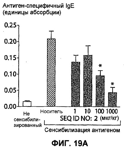 Полумягкие иммуностимулирующие олигонуклеотиды с-класса (патент 2393223)