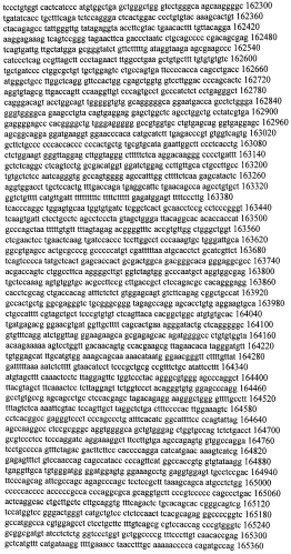Модуляция экспрессии гентингтина (патент 2562861)