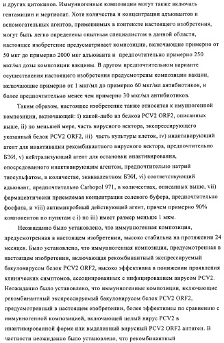 Поливалентные иммуногенные композиции pcv2 и способы получения таких композиций (патент 2488407)